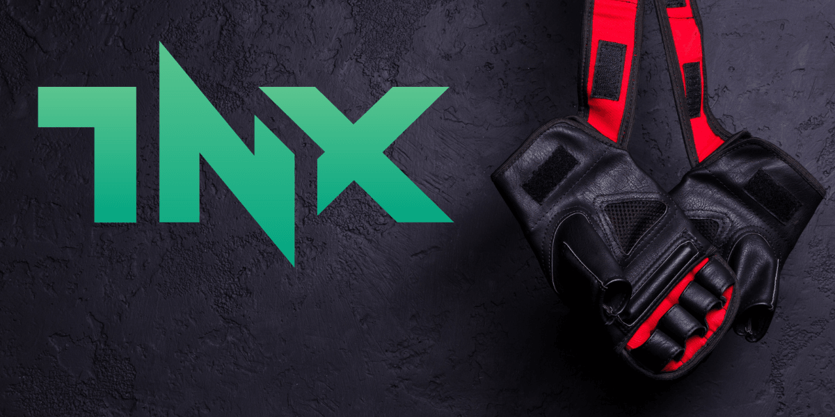 Black and red boxing gloves hanging against a textured dark background with TNX logo