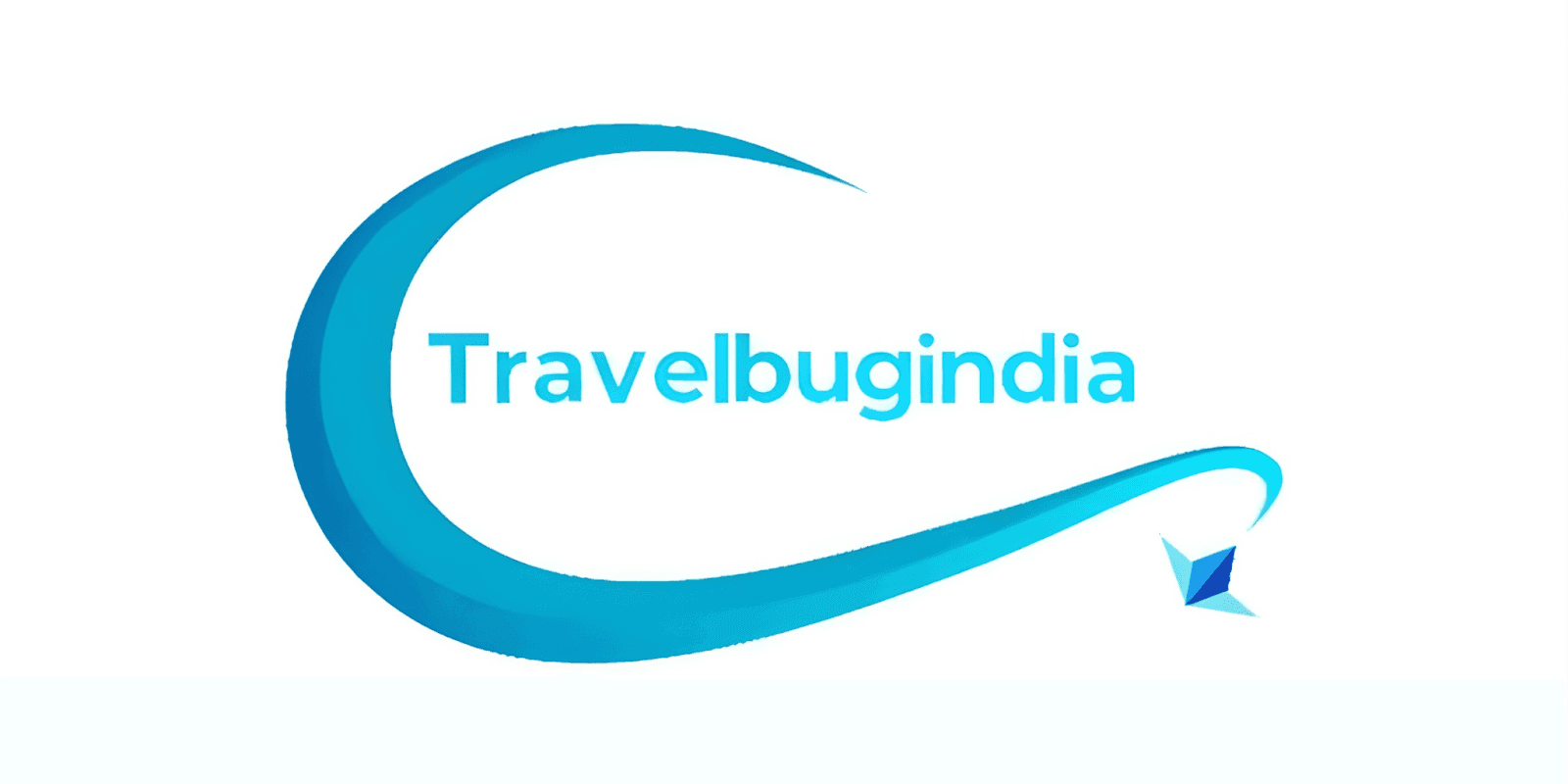 Travelbug India logo featuring a flowing blue curve with the company name, symbolizing personalized travel experiences in South India.
