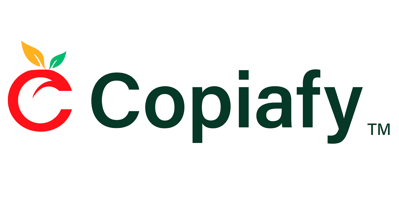 Copiafy: Secure, all-in-one financial management platform empowering users with automation and professional support.