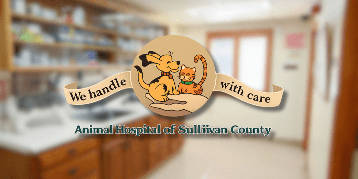 Animal Hospital of Sullivan County logo featuring dog and cat with “We handle with care” slogan.