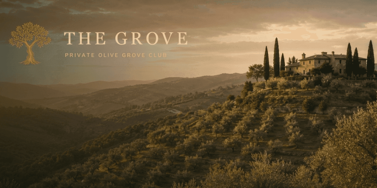 Sunset view of Tuscan olive groves surrounding a historic estate, promoting The Grove private olive grove club.