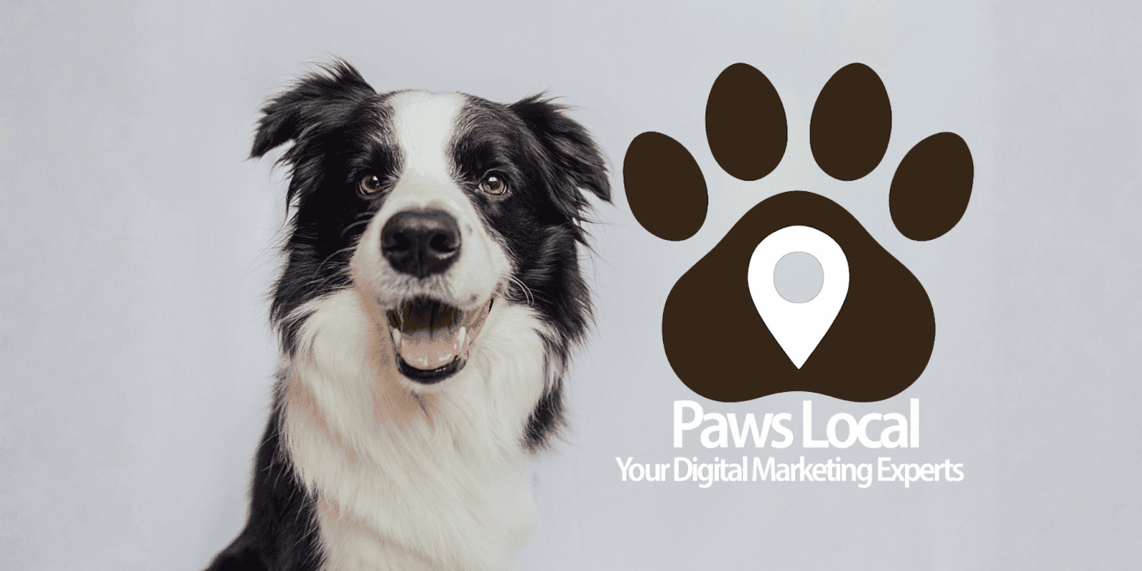 Paws Local logo, connecting pet owners with trusted local groomers, fostering community relationships and supporting small pet care businesses.