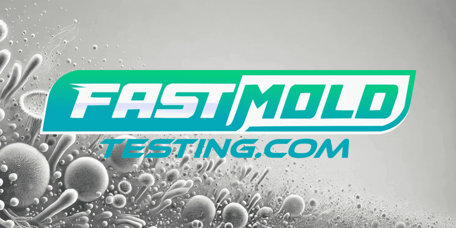 the "Fast Mold Testing" logo with a background showing mold-like particles, emphasizing mold inspection services.
