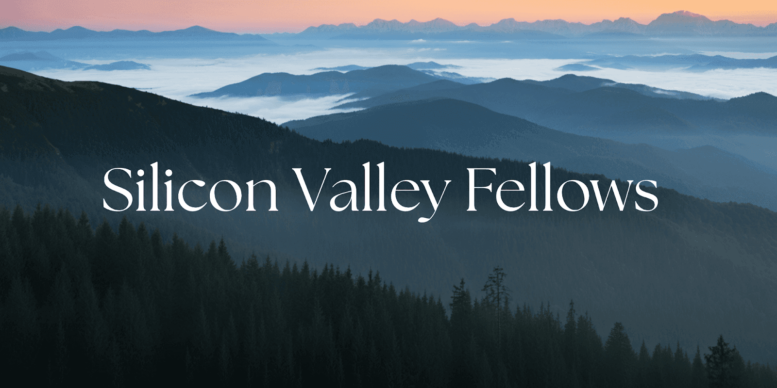 Silicon Valley Fellows' "Gut Check" game empowers youth to make healthier food choices while addressing food access disparities.