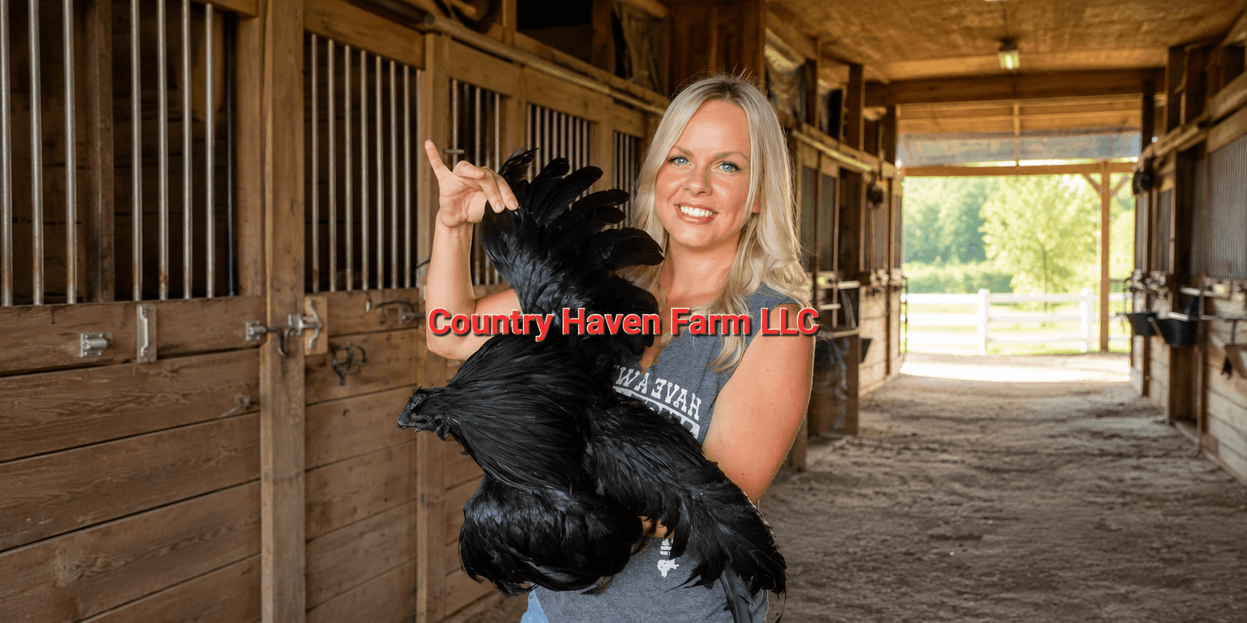 Randee Summers holding a black Ayam Cemani chicken inside the Country Haven Farm barn.