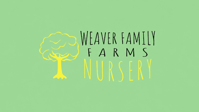 Logo for Weaver Family Farms Nursery featuring a tree and colorful text