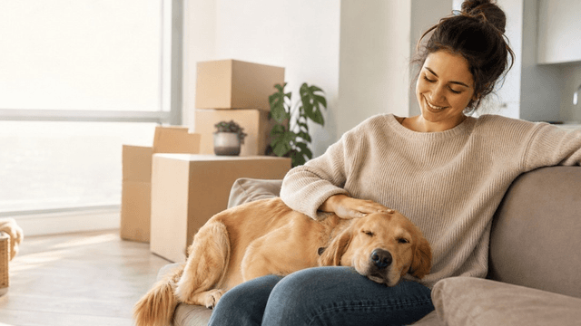 Woman sitting on a couch, petting a golden retriever in a bright room with boxes.