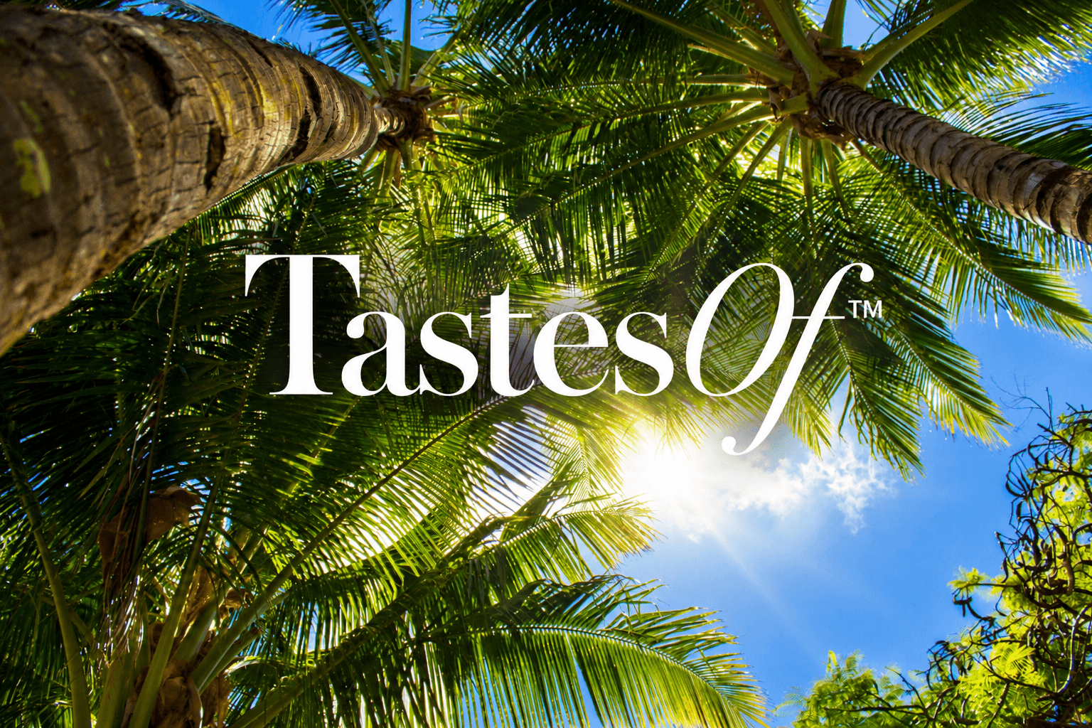 Sunlight filtering through palm trees with the text TastesOf above.