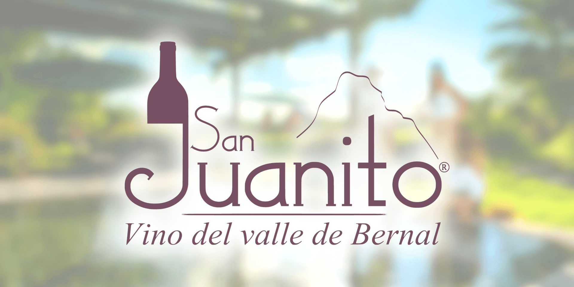 Logo of San Juanito wine from the Bernal valley with a blurred background
