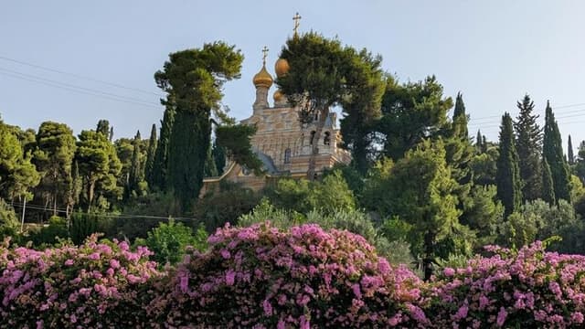 A picturesque church surrounded by trees and vibrant pink flowers under clear blue skies