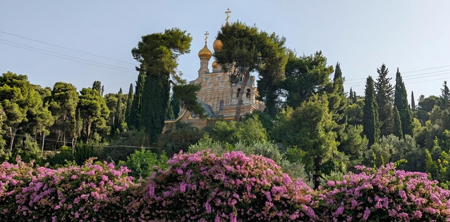 A picturesque church surrounded by trees and vibrant pink flowers under clear blue skies