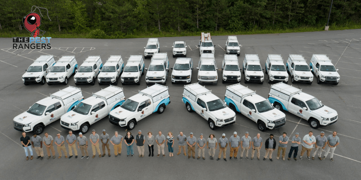 Aerial view of a team standing in front of multiple pest control vehicles