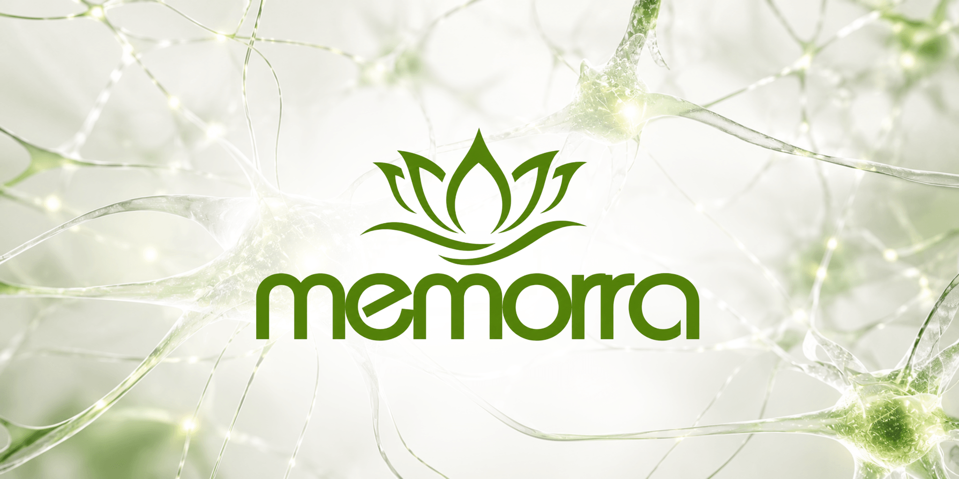 Logo of Memorra with a lotus and neural network background