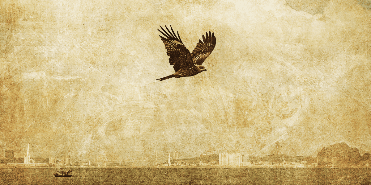 A hawk soaring over the ocean, capturing the essence of freedom and introspection.