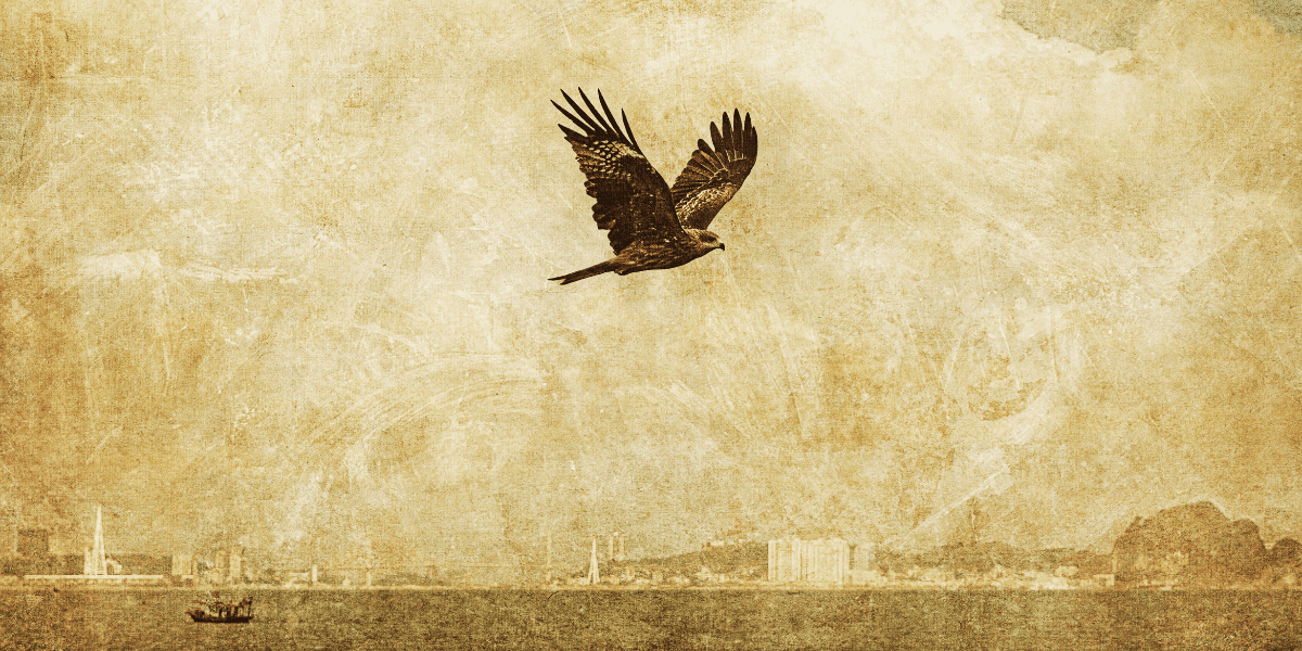 A hawk soaring over the ocean, capturing the essence of freedom and introspection.