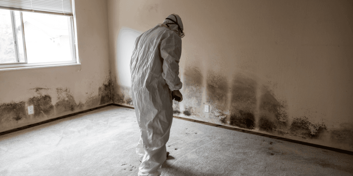 A person in protective gear inspects a room with visible mold growth on the walls, highlighting potential mold issues.