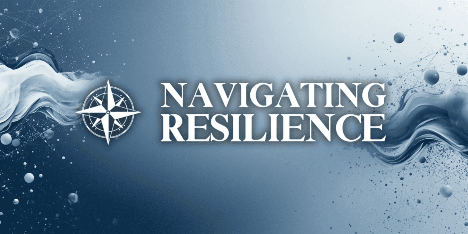 https://www.navigatingresilience.com/