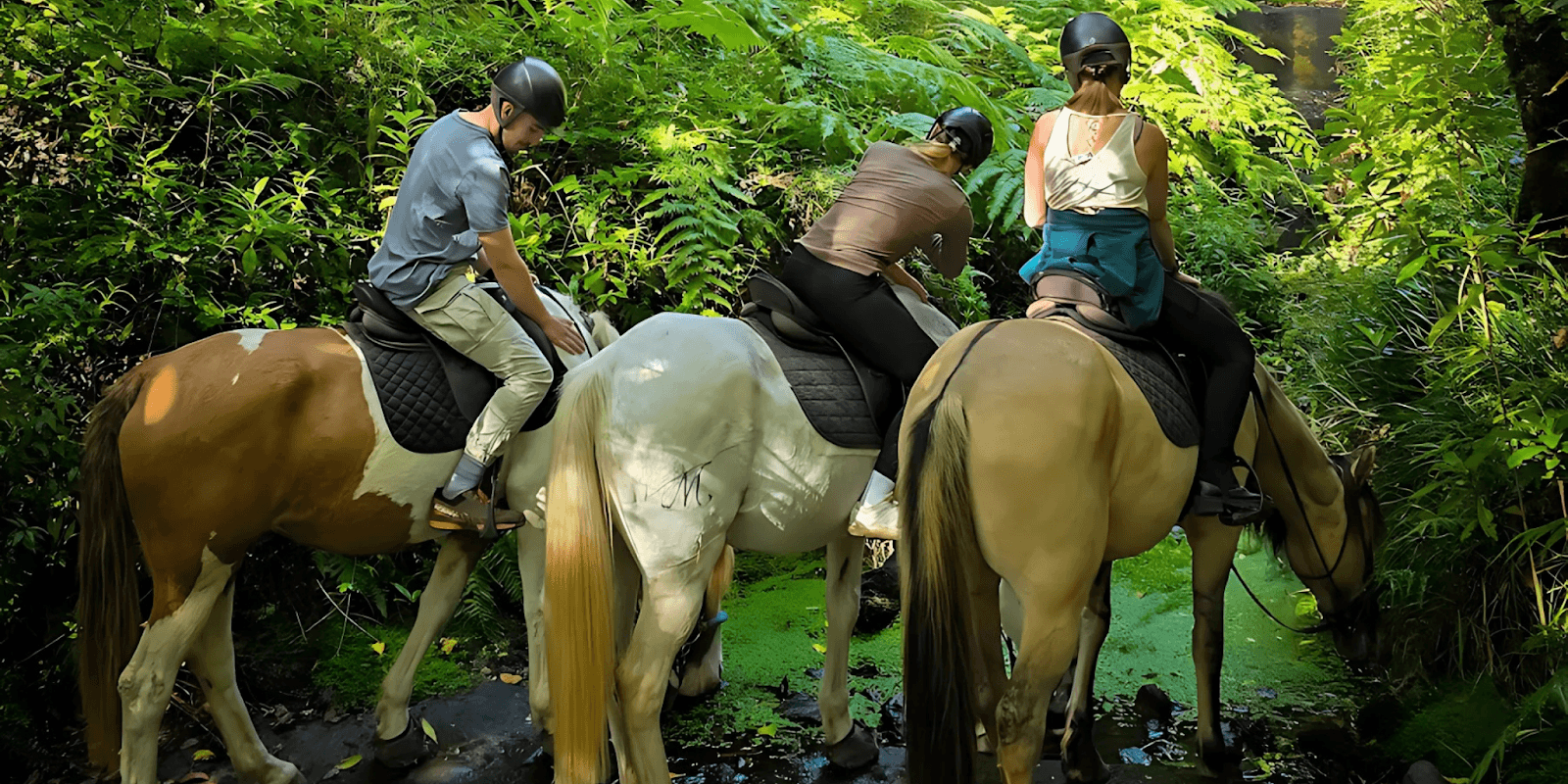 Group of people horseback riding through a lush green forest trail, enjoying nature with helmets on, while their horses drink from a small stream covered with green foliage