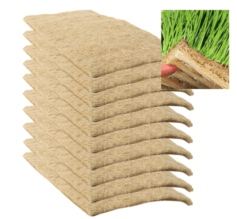 nsjxhy6lltsec2dd2cywpppynp8-bc816fc1.png