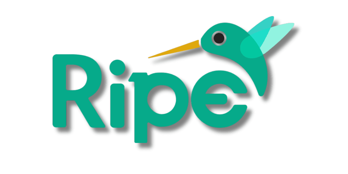 "Chris Simental, co-founder of RIPE Media, blending creativity and technology to craft impactful digital experiences and innovative solutions."