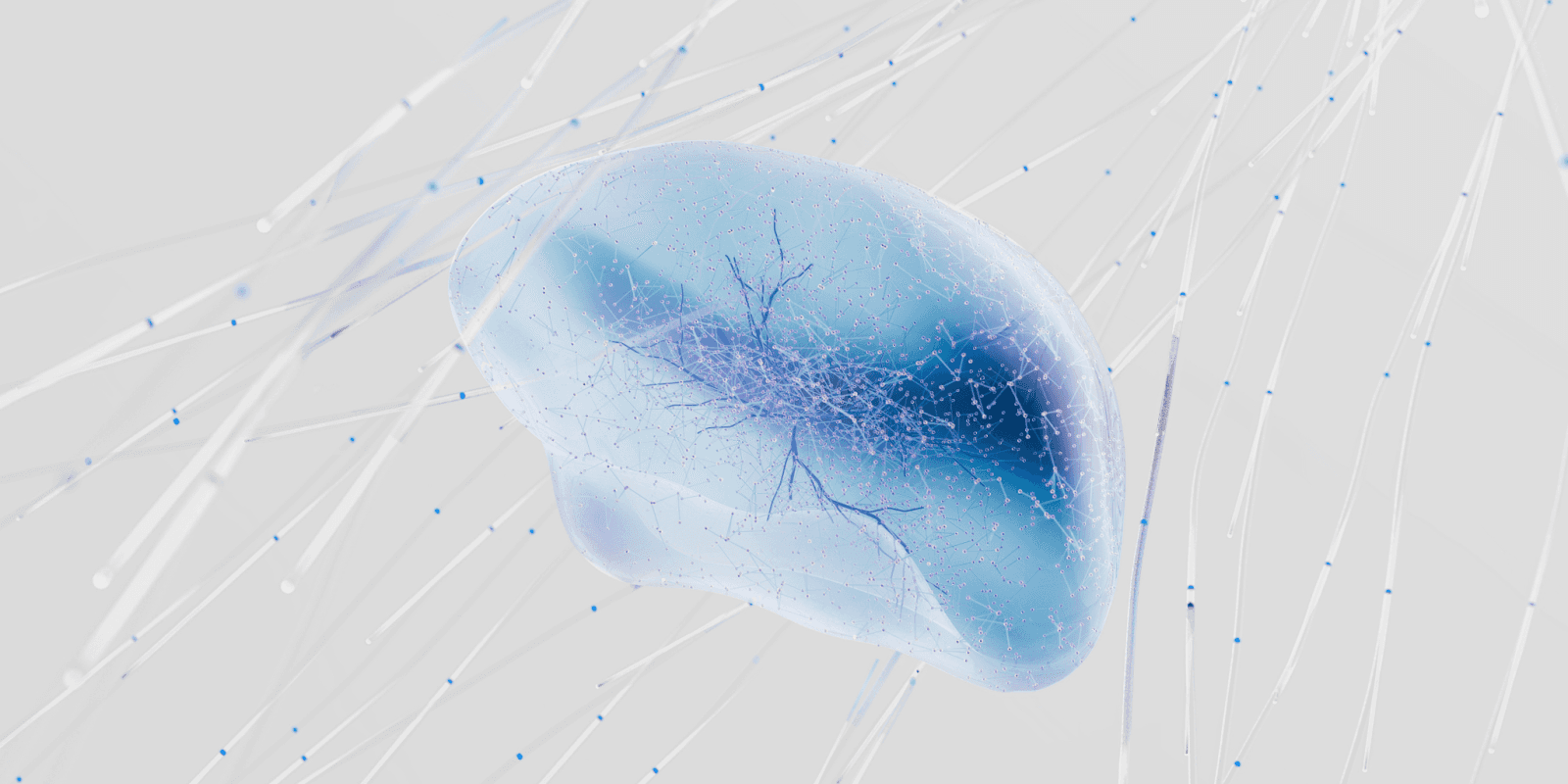 "Image illustrating Lifeseeds' Neuro product, highlighting advanced cognitive support through research-backed ingredients for long-term brain health."