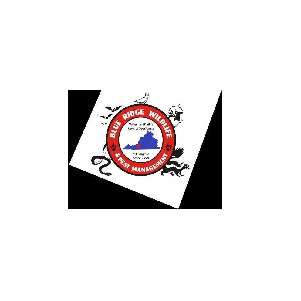 t3pv83x0uuotmvc0t1djhxkjg-c0089dc7.jpg