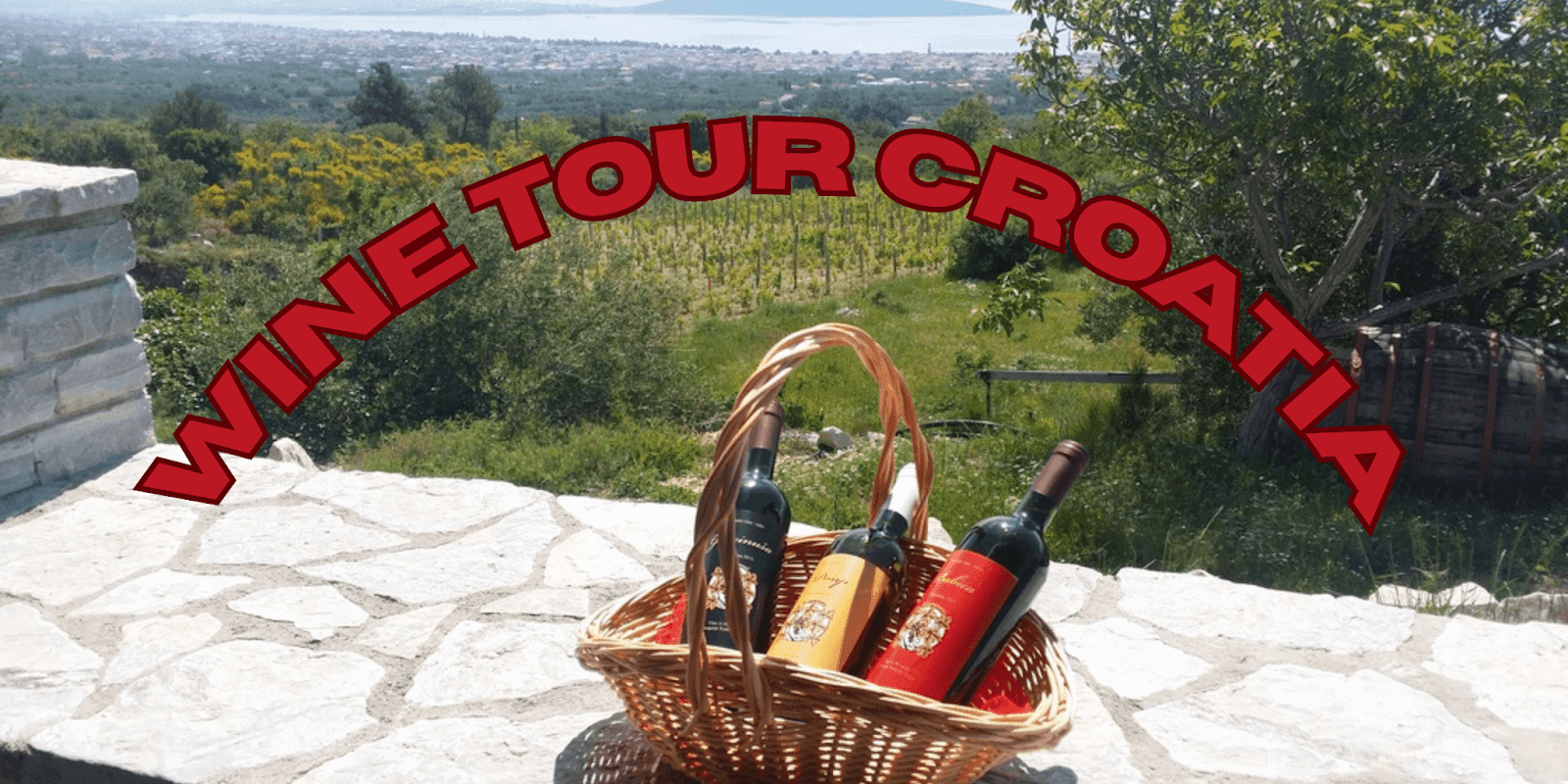 Basket of Croatian wine bottles with vineyard background in Dalmatia for Wine Tours Croatia.