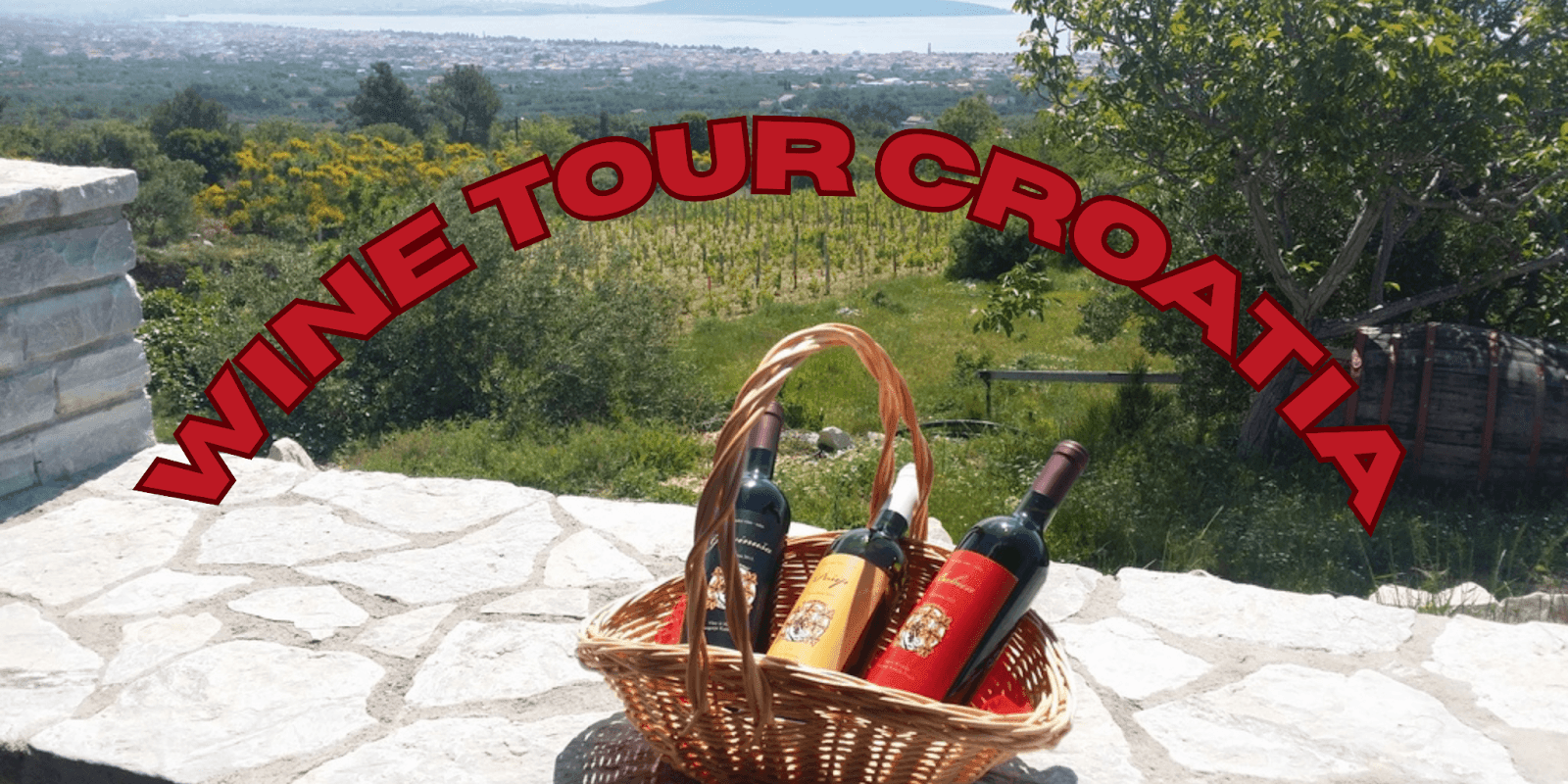 Basket of Croatian wine bottles with vineyard background in Dalmatia for Wine Tours Croatia.