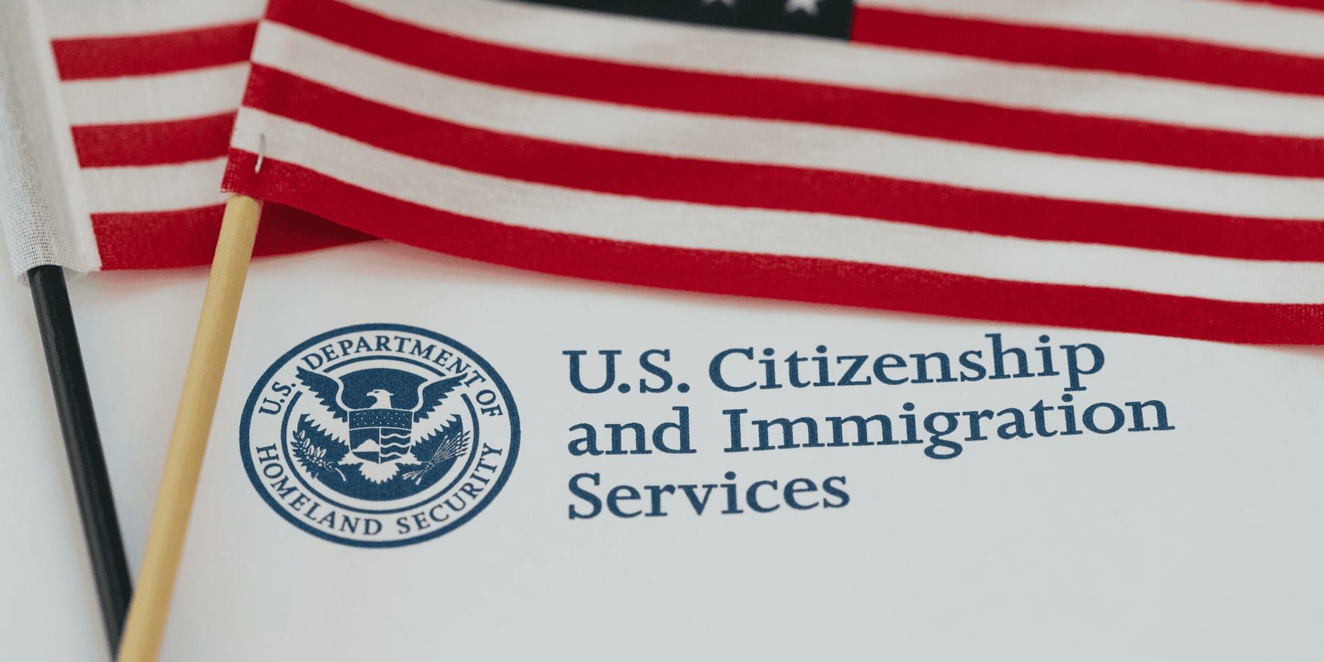 U.S. Citizenship and Immigration Services document with American flags above the DHS seal.
